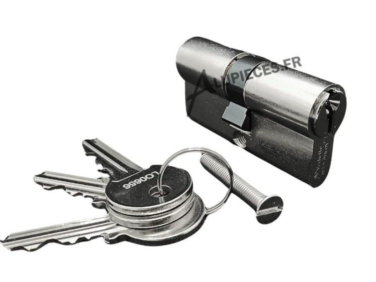 Cylindre 30x30 sécurité avec Carte de propriété et 3 clés - Alupièces.fr