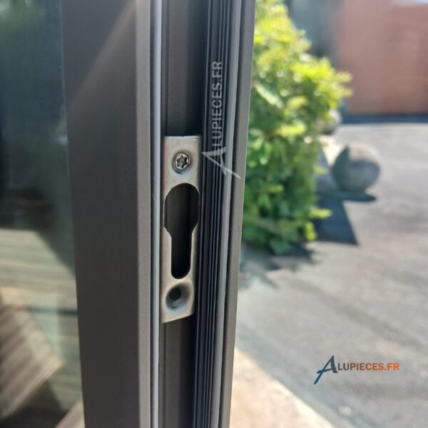 T411002 Joint glissant Technal Lumeal-003