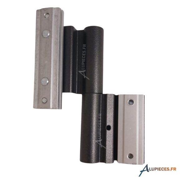 T910002 Paumelle en feuillure 2 lames Technal-NS-00V