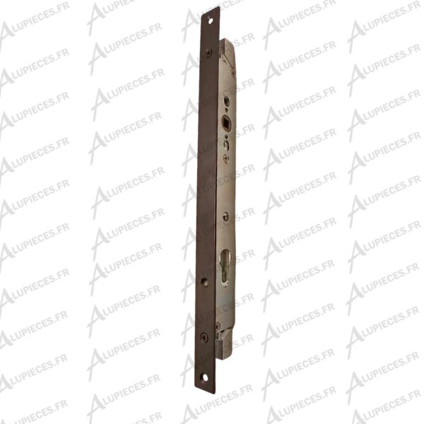 Boitier-cremone-Technal-pour porte Ambial-000