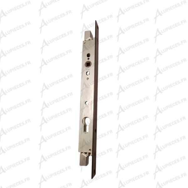 Boitier-cremone-Technal-pour porte Ambial-002