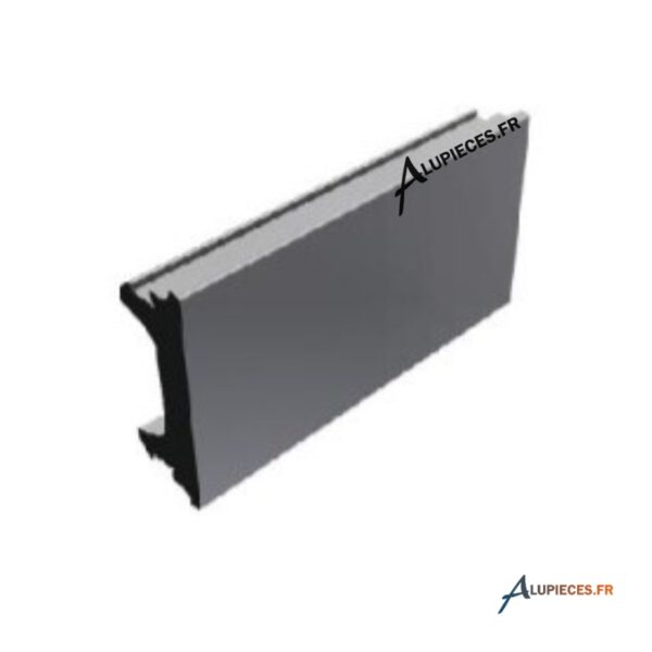 T710011 Joint cache rainure Technal PY55-001